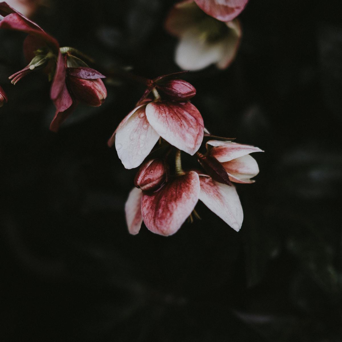 Putting My 8 Years of Social Marketing To Good&nbsp;Use