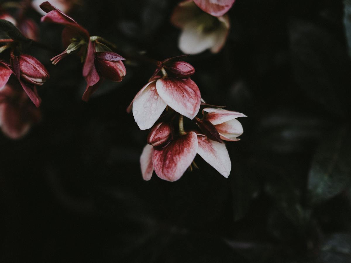 Putting My 8 Years of Social Marketing To Good&nbsp;Use