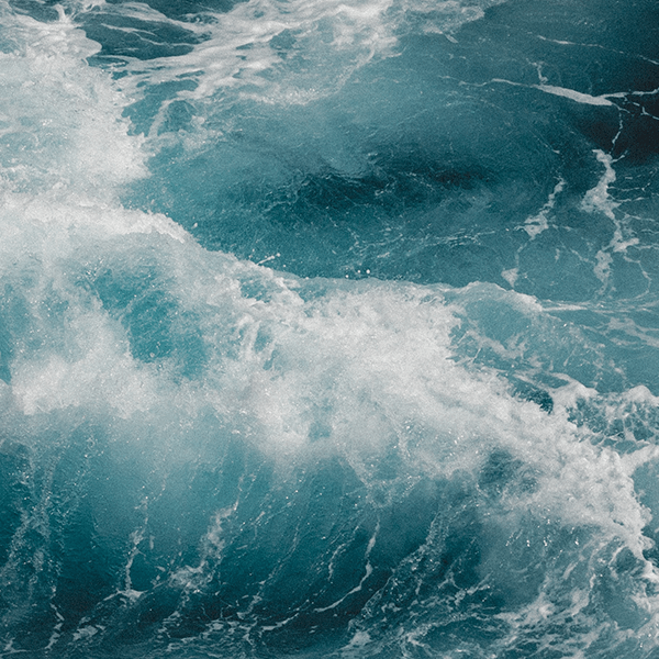 A Year of Writing In&nbsp;Review