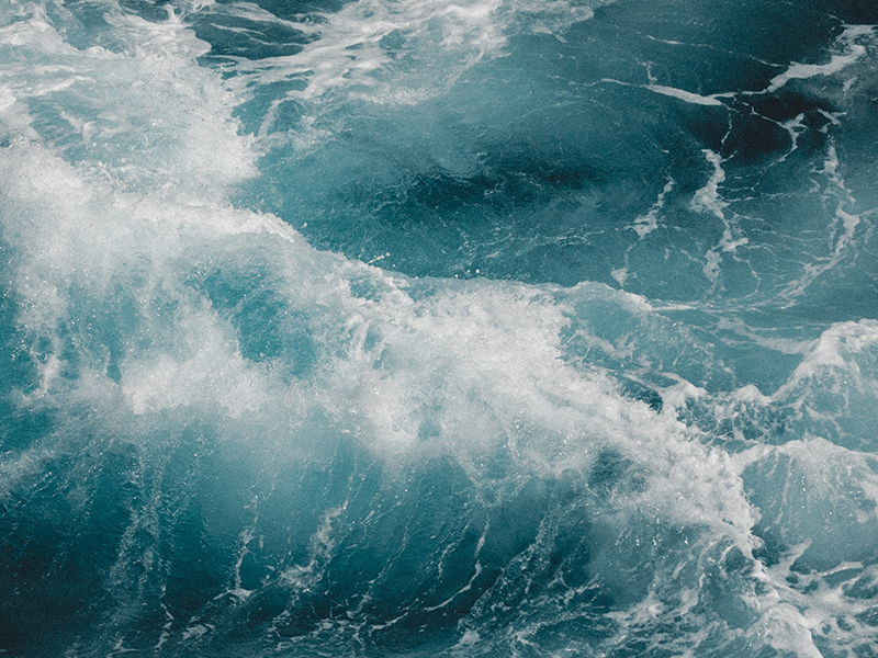 A Year of Writing In&nbsp;Review